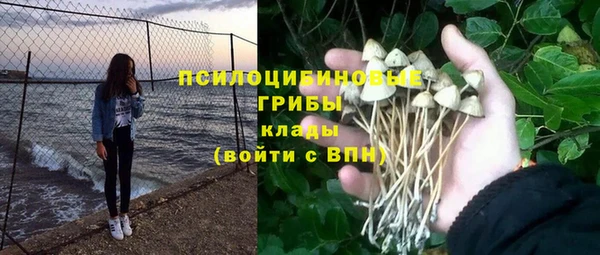 винт Новодвинск