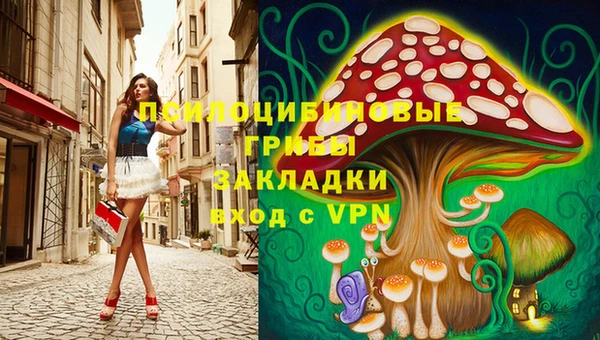 винт Новодвинск